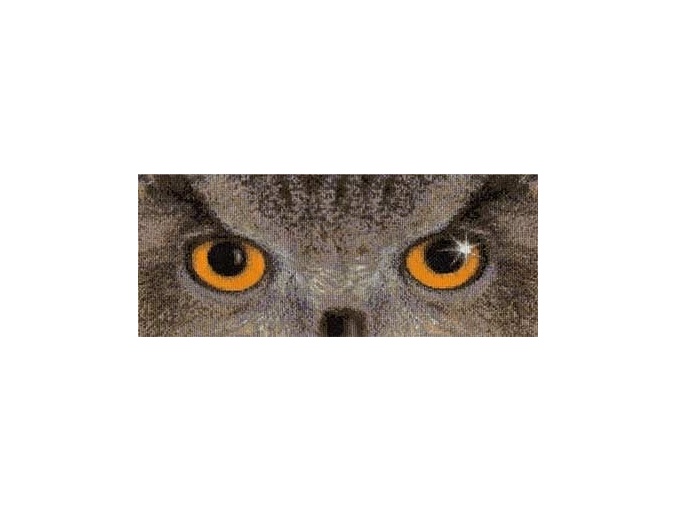 Eagle Owl Look Cross Stitch Kit фото 1