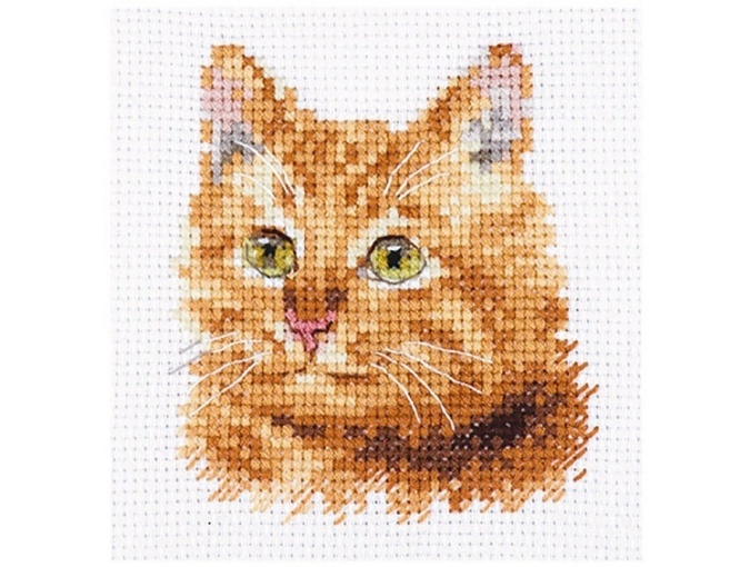 Animal Portraits. Ginger Cat Cross Stitch Kit фото 1