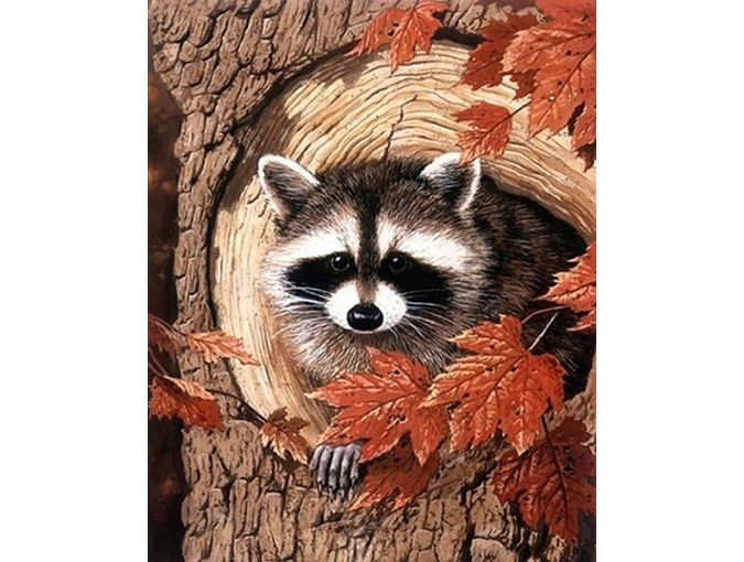 Raccoon on a Maple Diamond Painting Kit фото 1