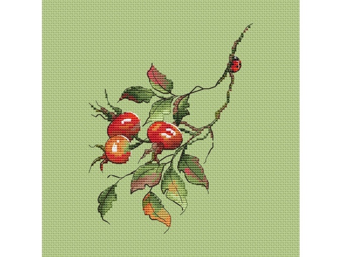 Dog-rose Cross Stitch Pattern фото 1