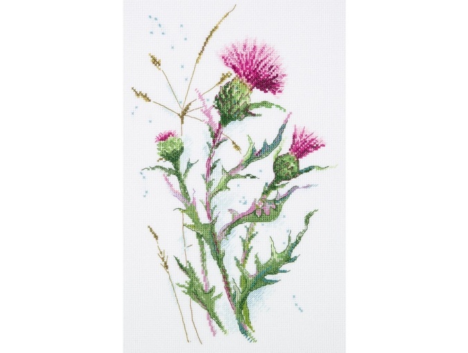 Thistle Cross Stitch Kit, code C-1893 Panna | Buy online on Mybobbin.com