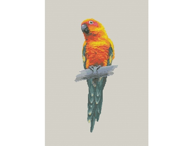 Parrot Cross Stitch Pattern фото 1