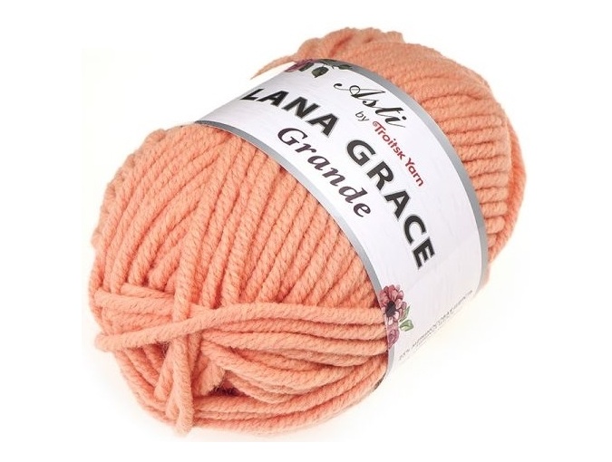 Troitsk Wool Lana Grace Grande, 25% Merino wool, 75% Super soft acrylic 5 Skein Value Pack, 500g фото 17
