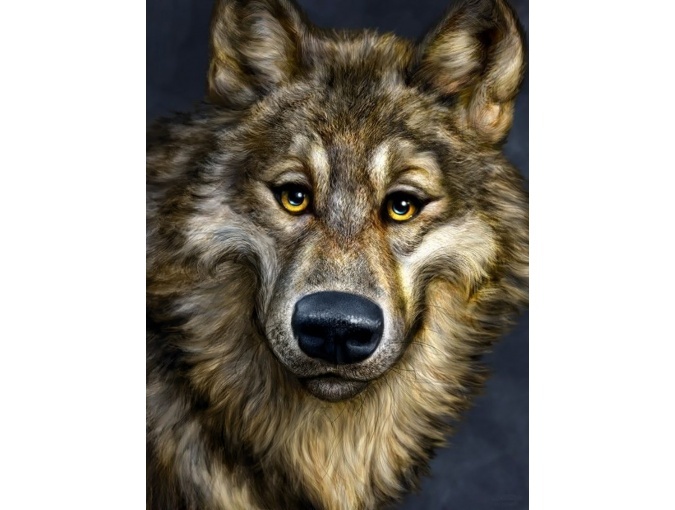 Wolf Diamond Painting Kit фото 1
