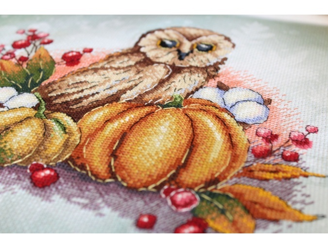 Owl on a Pumpkin Cross Stitch Kit фото 4