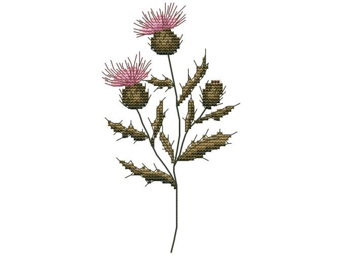Wildflowers. Thistle Cross Stitch Pattern фото 1