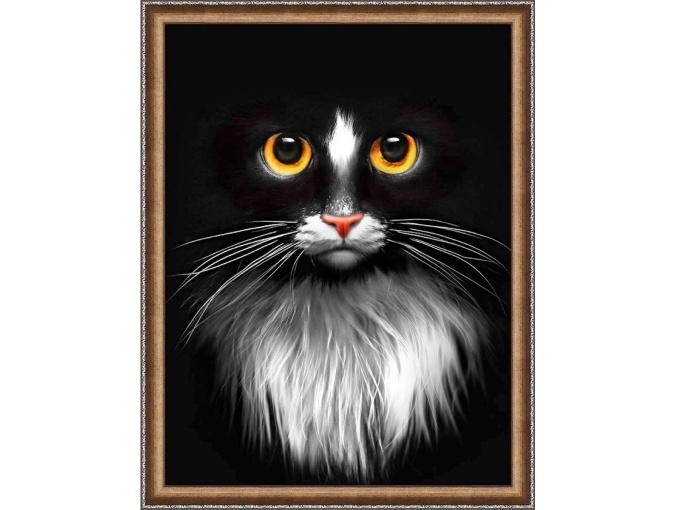 Black Cat Diamond Painting Kit фото 1