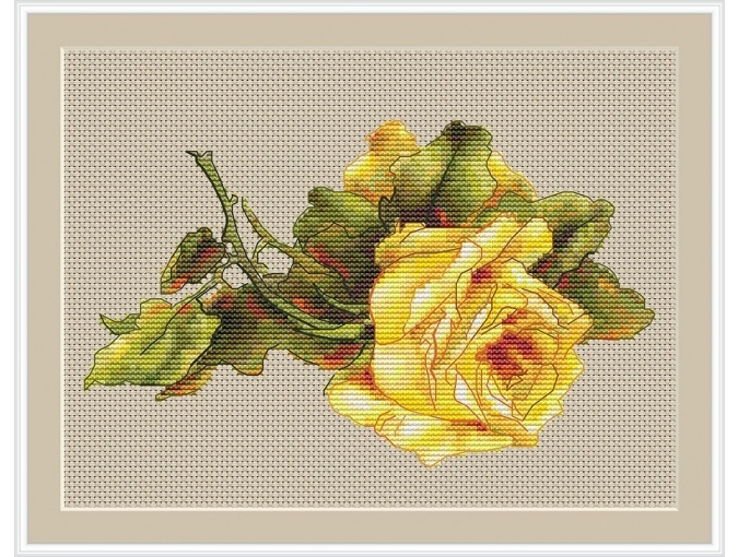 All Shades of Rose: Sunny Cross Stitch Pattern фото 1