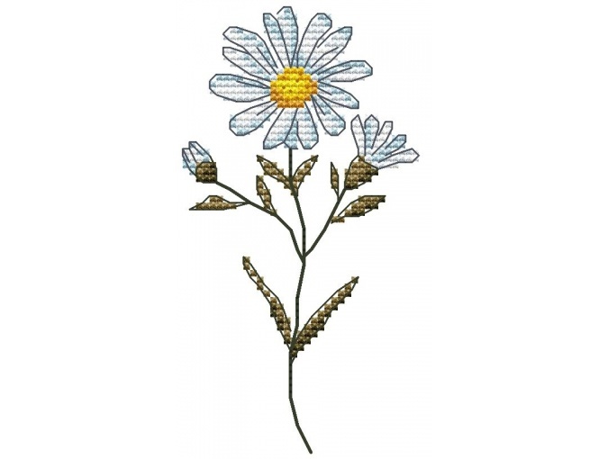 Wildflowers. Aster Cross Stitch Pattern фото 1