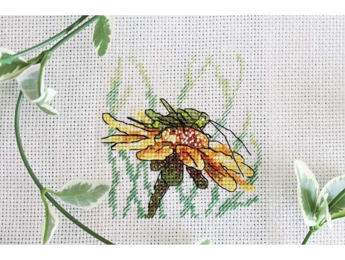 Grasshopper on Echinacea Cross Stitch Kit фото 2