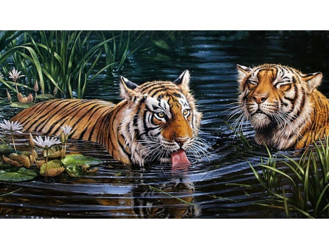 Tigers in the Water Diamond Painting Kit фото 1