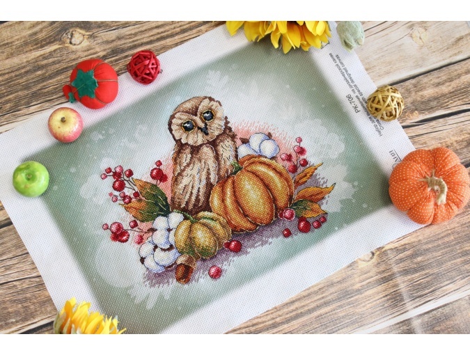 Owl on a Pumpkin Cross Stitch Kit фото 3