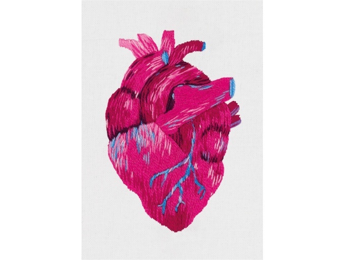 Anatomical Heart Embroidery Kit фото 1