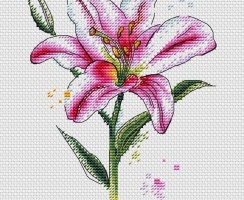 Buy Set for Cross Stitching Lily and Lime Riolis 2097, € 10,09