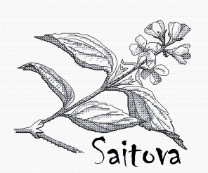 Jasmine Graphics Cross Stitch Pattern