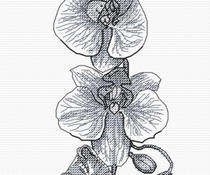 Orchid Graphics Cross Stitch Pattern