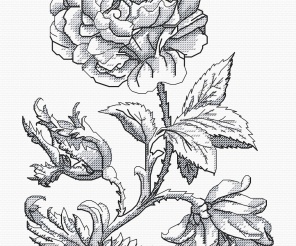 Rose Graphics Cross Stitch Pattern