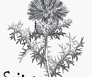 Burdock Graphics Cross Stitch Pattern