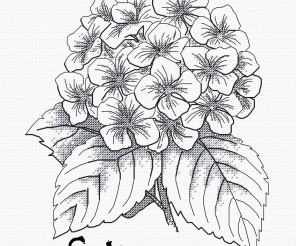 Hydrangea Graphics Cross Stitch Pattern