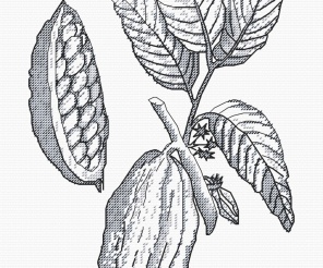Cocoa Graphics Cross Stitch Pattern