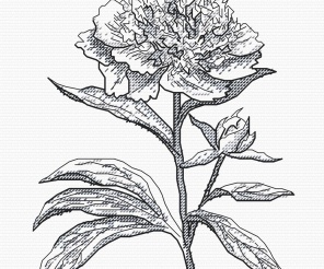 Peony Graphics Cross Stitch Pattern