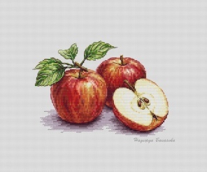 Apples Cross Stitch Chart