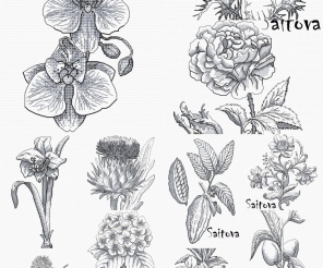 The Botanical Series Cross Stitch Pattern