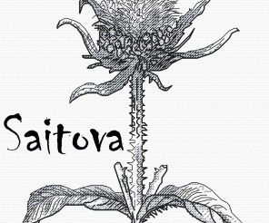 Teasel Graphics Cross Stitch Pattern