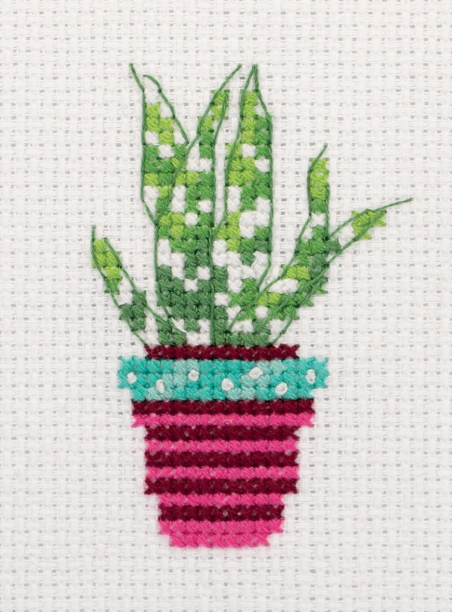 Succulent Cross Stitch Kit фото 1
