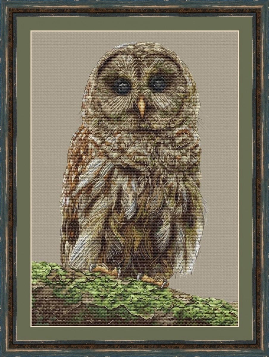 The Wisdom of the Forest Cross Stitch Pattern фото 1