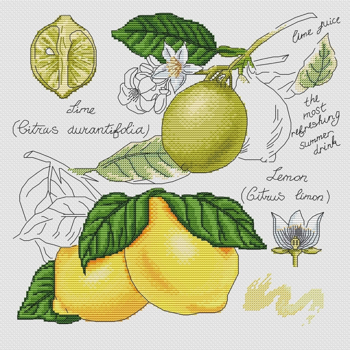 Botany. Lemon Cross Stitch Pattern фото 1