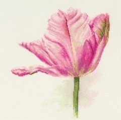 Tulips. Light Pink Cross Stitch Kit фото 1