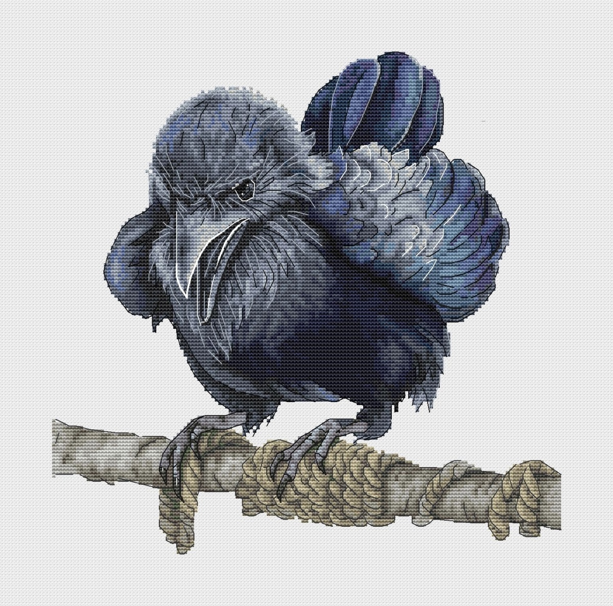 A Black Raven Cross Stitch Pattern фото 1