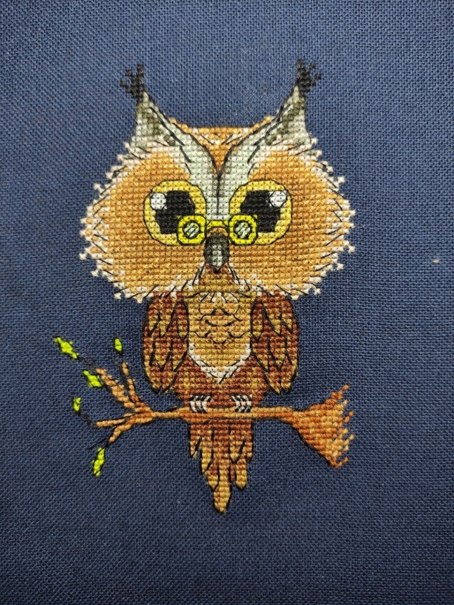 Owlet with Glasses Cross Stitch Pattern фото 2