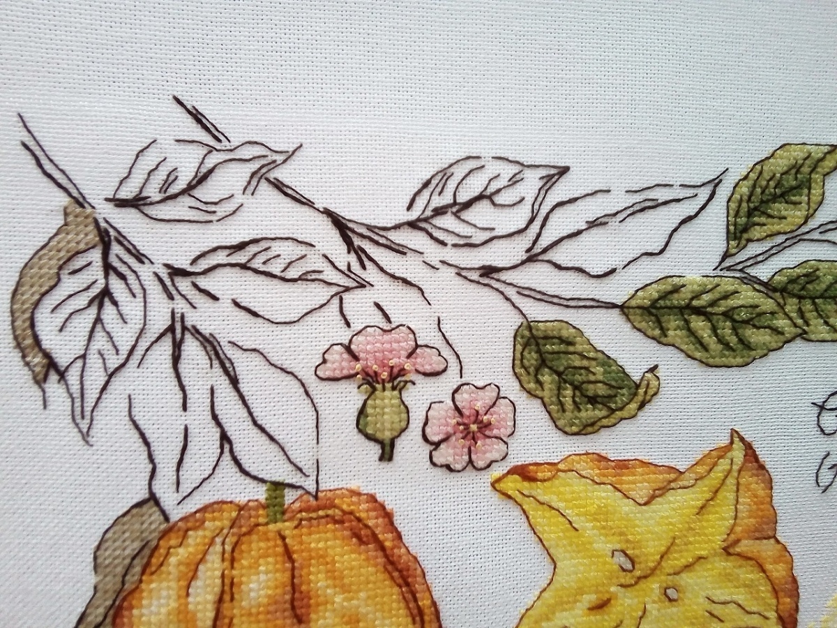 Botany. Carambola Cross Stitch Pattern фото 2