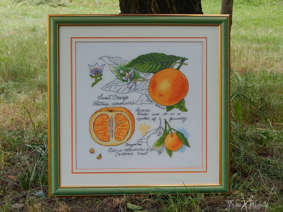 Botany. Orange Cross Stitch Pattern фото 3