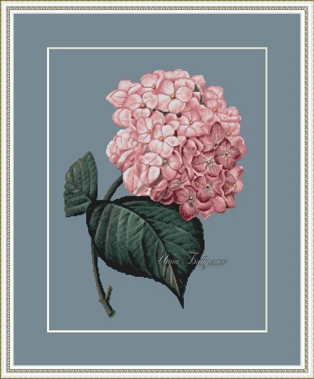 Pink Hydrangea Flower Cross Stitch Pattern фото 1