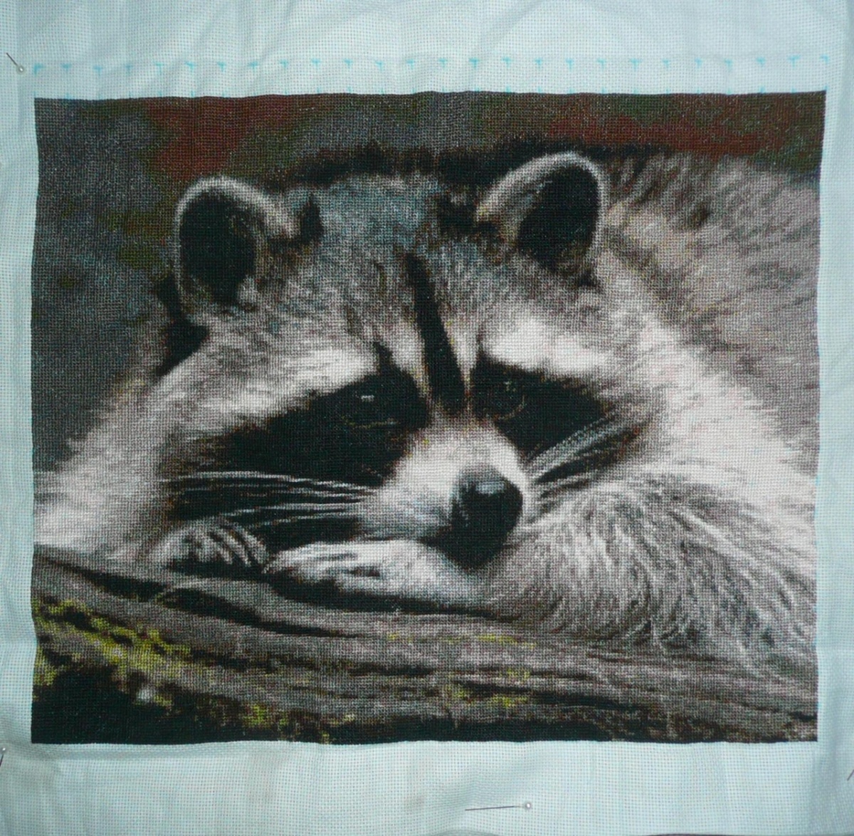 Brooding Raccoon Cross Stitch Pattern фото 2