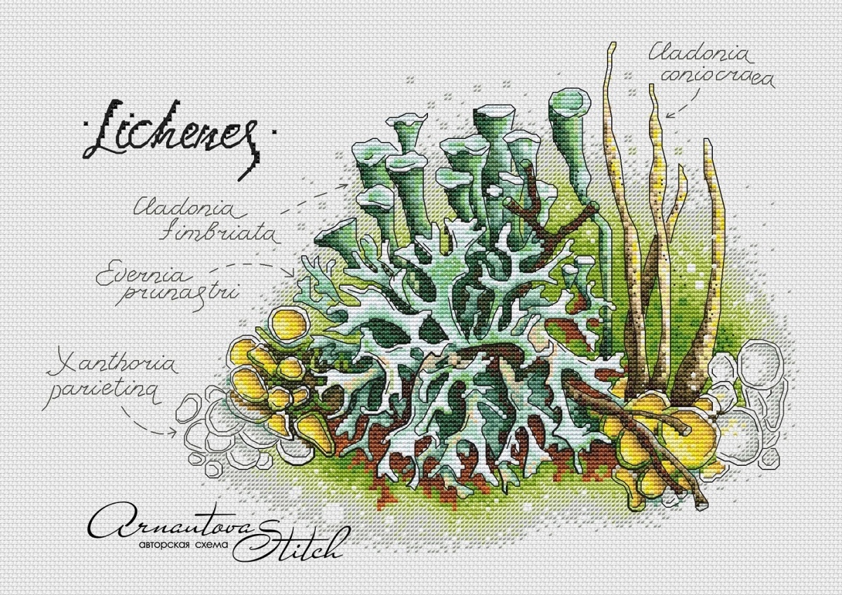 Lichens Cross Stitch Pattern фото 1