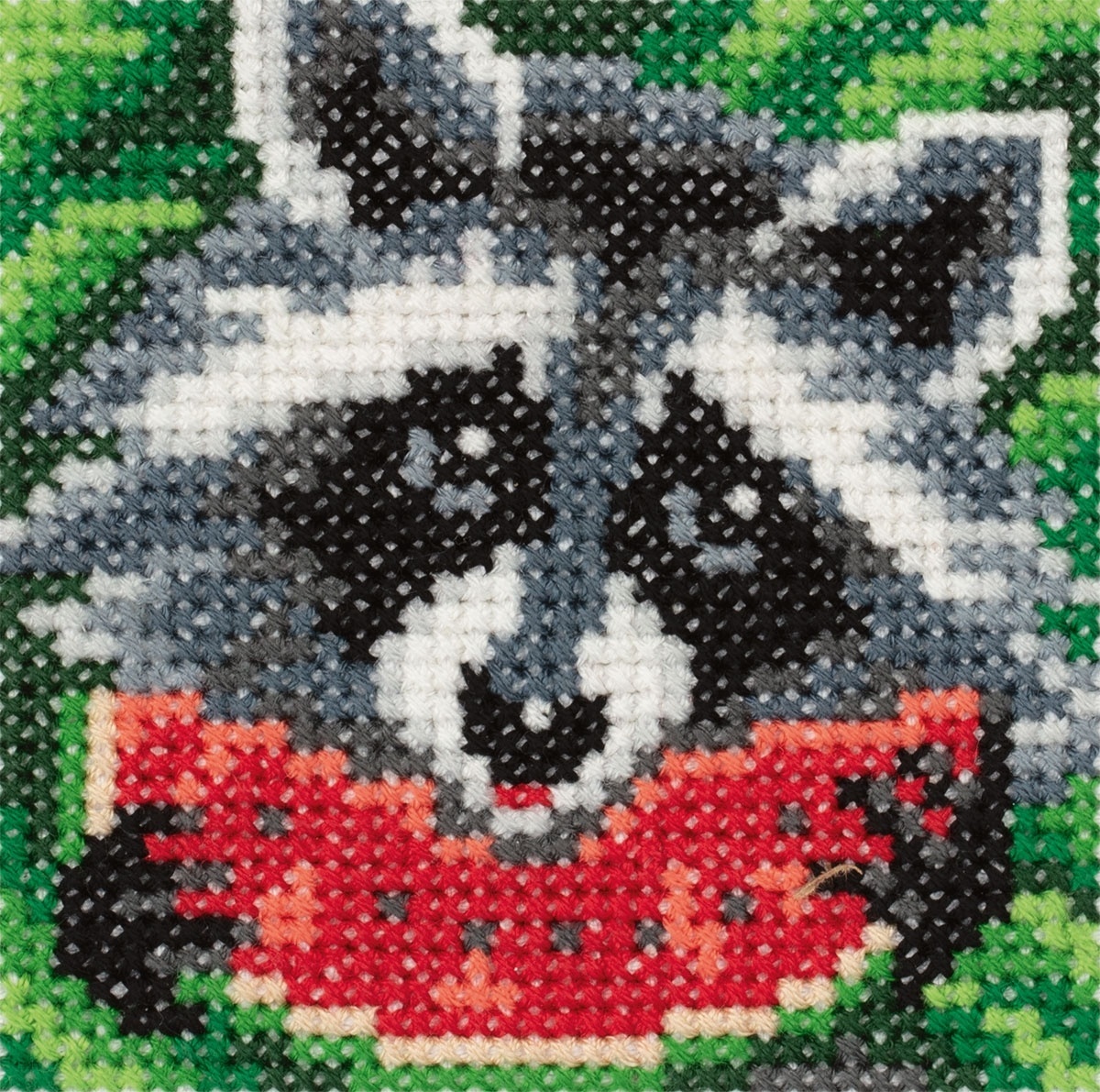 Raccoon Eating Watermelon Cross Stitch Kit фото 1
