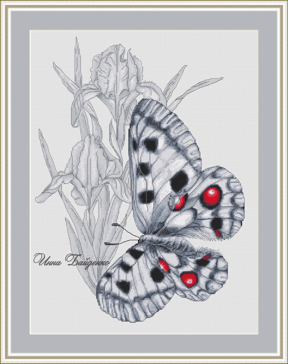 Apollo Butterfly Cross Stitch Pattern фото 1