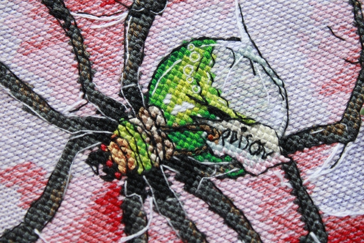 Spider Cross Stitch Pattern фото 2