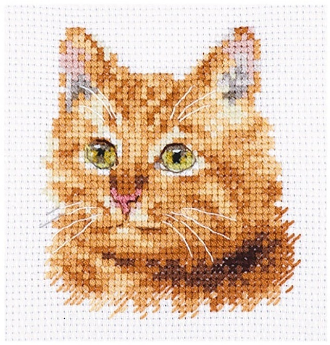 Animal Portraits. Ginger Cat Cross Stitch Kit фото 1