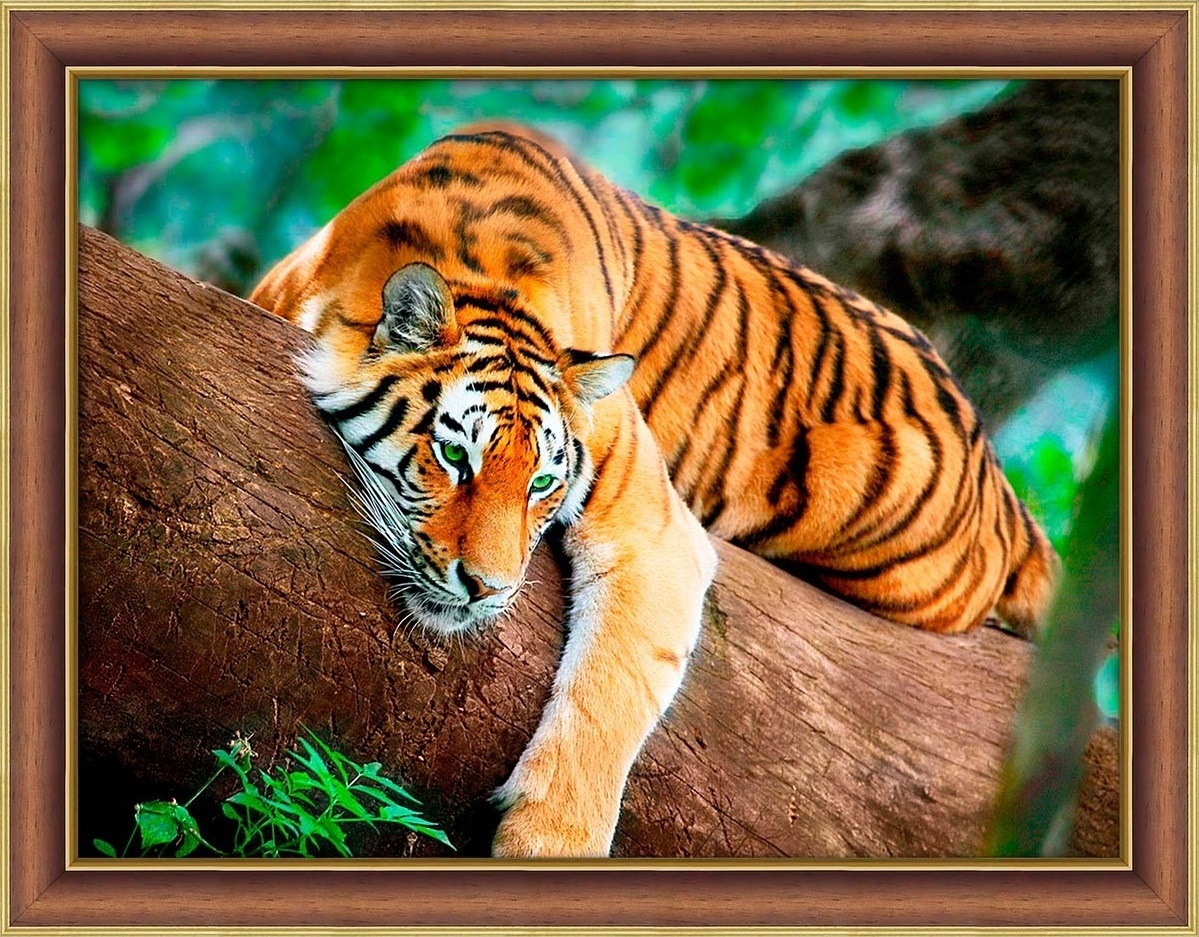 Tiger on the Tree Diamond Painting Kit фото 1