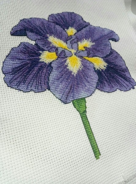 Iris Cross Stitch Chart фото 4