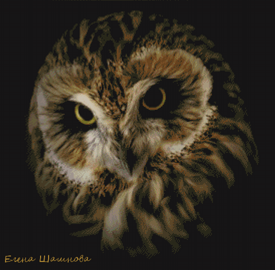 The Owl's Gaze Cross Stitch Pattern фото 1