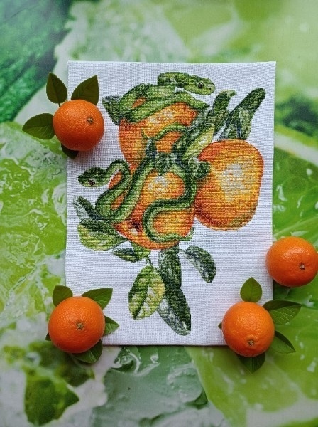 Snakes and Tangerine Cross Stitch Pattern фото 2