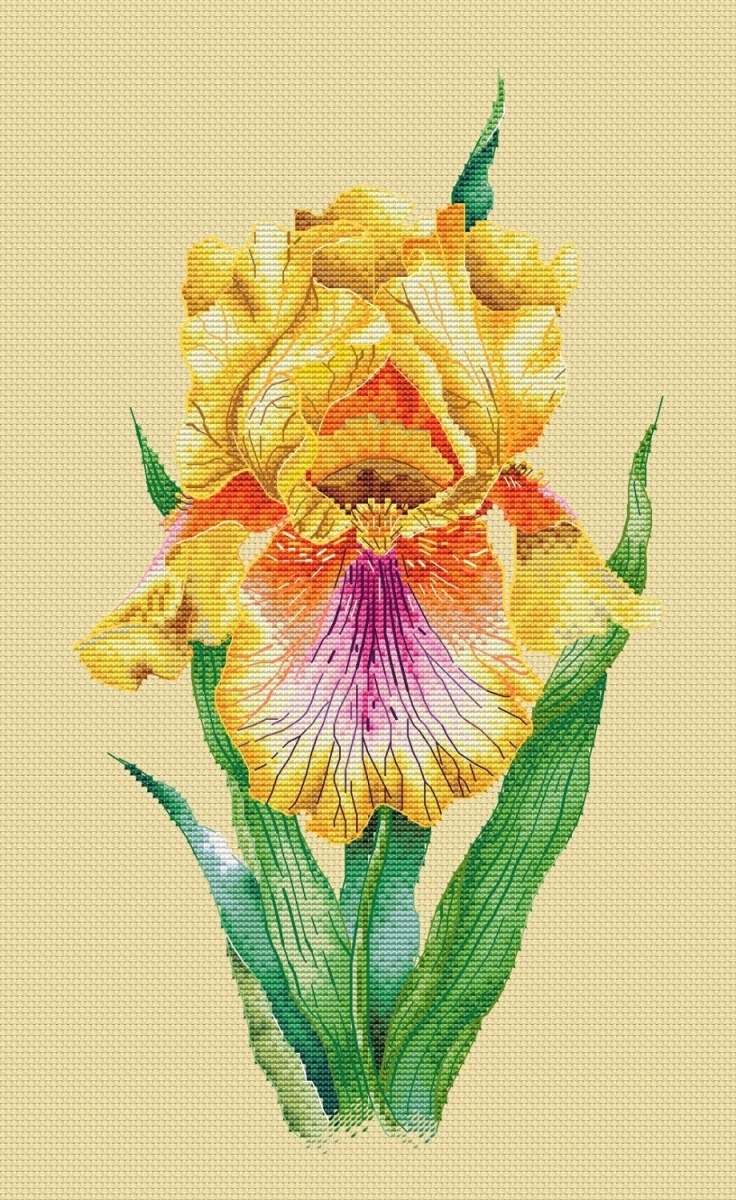 Yellow Iris Cross Stitch Pattern фото 3