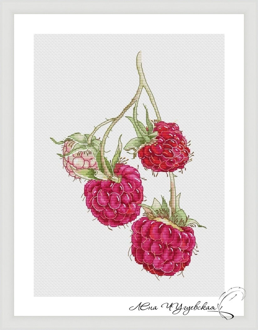 Raspberries Cross Stitch Pattern фото 1