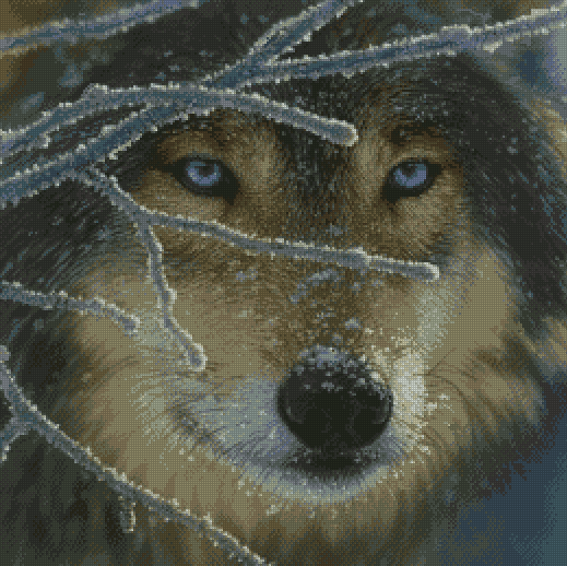 The Blue-eyed Wolf Cross Stitch Pattern фото 1
